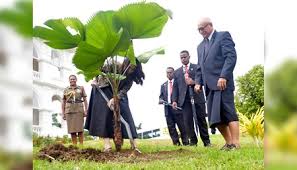 New zealand first was the only little party that had lots of votes. Fijian Government Nz Pm Plants Fan Palm At State House