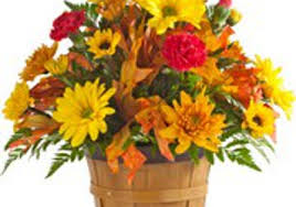 Today's top royer's flowers & gifts coupon: Royer S Flowers Gifts 165 S Reading Rd Ephrata Pa 17522 Yp Com