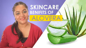 Never use a blunt blade. Benefits And Uses Of Aloe Vera Gel For Face And Skin Be Beautiful India