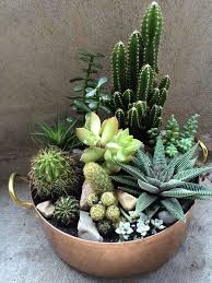 27 Beauty Cactus And Succulent Garden Ideas For Indoor Page 13 Of 28 Succulents Succulent Garden Design Indoor Cactus Garden