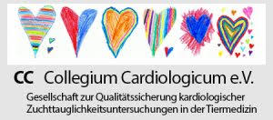 Accelerate endothelialization and close defect rapidly. Persistierender Ductus Arteriosus Botalli Pda