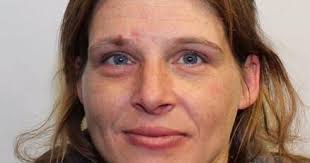 Police Seek Public's Help In Search For Woman