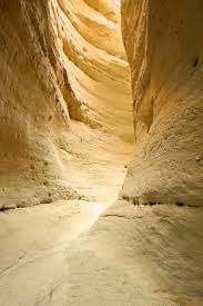 Borrego springs has 50 house cleaning service professionals that can help you with your home cleaning services job. 30 Borrego Ideas Borrego Springs California Desert Anza Borrego State Park