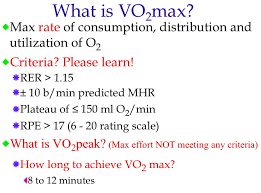 vo2 max