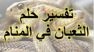 (ثعبان) يدل في المنام على رجل الوادي وربما دل على العداوة من الأهل والأزواج والأولاد وربما كان جاراً حسوداً شرير وثعبان الماء عون للظالم أو أعلام الحاكم. ØªÙØ³ÙŠØ± Ø­Ù„Ù… Ø§Ù„Ø«Ø¹Ø¨Ø§Ù† ÙÙŠ Ø§Ù„Ù…Ù†Ø§Ù… Ù„Ø§Ø¨Ù† Ø³ÙŠØ±ÙŠÙ† Ø§Ø­Ø°Ø± Ù…Ù†Ù‡ ÙˆÙƒØ§Ù„Ø© Ø³ØªÙŠØ¨ Ø§Ù„Ø¥Ø®Ø¨Ø§Ø±ÙŠØ©