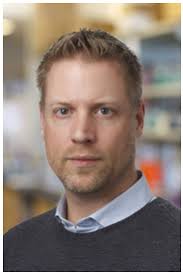 Developmental Biology (DEVB) Faculty