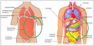 что находится с левой стороны под ребрами у человека Bol Sleva Pod Rebrami Kak Simptom Opasnyh Zabolevanij Pochemu Voznikaet Rezhushaya Kolyushaya Ili Tyanushaya