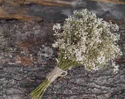 Maybe you would like to learn more about one of these? Babys Breath Bouquet Etsy