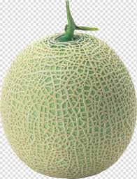 Watermelon Fruit Cantaloupe Melon Transparent Background Png Clipart Hiclipart Woman in a gray hoodie png. watermelon fruit cantaloupe melon