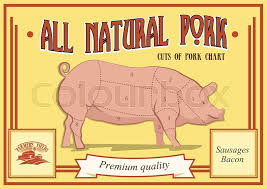 Pork Cuts Diagram Vector Illustration Stock Vector