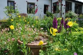 Lois stahl send an email july 15, 2013. The Wildflower Garden