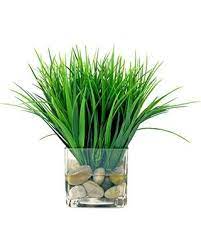 Creative Displays Creative Displays Faux Grass In Clear Glass Vase With River Rocks And Acrylic Water From Amazon Bhg Com Shop Fake Flower Arrangements Clear Glass Vases Faux Grass
