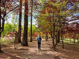 Don T Miss 14 Amazing Seoul Day Trips Day Tours And Weekend Trips