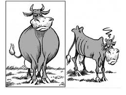 Jun 13, 2021 · vacas flacas pdf libr / pin en las vacas; Vacas Gordas Vacas Flacas