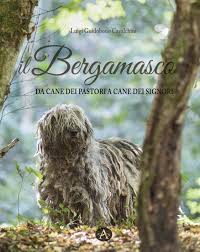 Maybe you would like to learn more about one of these? Il Bergamascoda Cane Dei Pastori A Cane Dei Signori Edizioni Altea