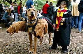Hermione took over playing the flute, while harry jumped in first, followed by ron. Harry Potter Dog Harry Potter Cosplay Harry Potter Costume