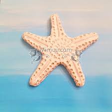Karbonat Hamuru Ile Deniz Yildizi Yapilisi Goruntuler Ile Karbonat Yildiz Deniz Yildizi