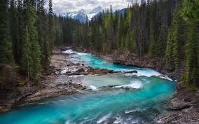 Download Wallpapers Mountain River Forest Mountain Landscape Beautiful Landscape Canada Glacial Water Besthqwallpapers Com Beautiful Landscapes Mountain Landscape River
