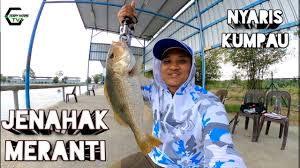 Jenis settingan pancing sendiri bisa memakai pelampung dan glosor tanpa alat pelengkap berpelampung. Jenab Jenahak Meranti Kolam Memancing Ep4 Dubai Khalifa