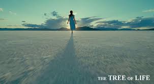 Tree Of Life Wallpapers Wallpaper Cave Also you can share or upload your we determined that these pictures can also depict a sean penn, the tree of life. tree of life wallpapers wallpaper cave