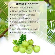 For centuries, many traditional medicinal systems, including chinese herbal medicine, tibetan medicine, and ayurveda have used the amla plant to treat various ailments. Amla Benefits And Uses