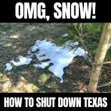 35 Hilarious Texas Winter Memes To Warm Your Heart