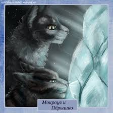 Runningnose And Littlecloud Warriors By Romashik Arts On Deviantart Warrior Cats Warrior Cats Art Warrior Cat