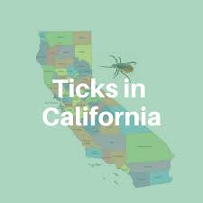 Lyme Sci Infected Ticks In California It S Complicated