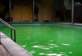 Eau Verte Dans Votre Piscine Comment La Nettoyer Piscine Shop