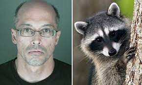 Laws and regulations dictate what you can do when it comes to whether you can kill a raccoon. Man Killed Raccoon With Nail Studded Board To Avenge His Cat That Was Killed By Similar Animals Years Before Daily Mail Online