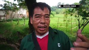 TRUK BOX HANTAM MINIBUS