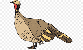 Maybe you would like to learn more about one of these? Turkey Thanksgiving Png Download 675 531 Free Transparent Black Turkey Png Download Cleanpng Kisspng
