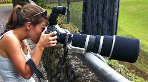 Bird And Wildlife Photography Equipment Lenses Cameras Teleconverters Wildlife Photography Photography Equipment Wildlife Photography Tips