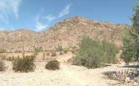 A wild and scenic rivers designation for the gila river is a great way to protect one of the southwest's most iconic and treasured rivers, as well as the vast agricultural and recreational economies that. Gila River Indian Community Opposes Freeway On Sacred Land Cronkite News Arizona Pbs