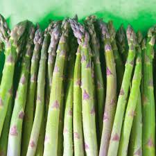 Image result for Asparagus richardsiae