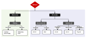Image result for Diplopia