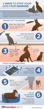 I'm having an issue she doesn't bark in the cage while i'm there. Best Way To Train A Dog To Stop Barking Cheap Buy Online