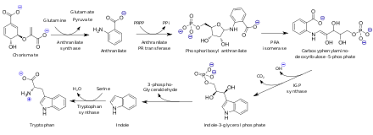 Anthranilic Acid Wikipedia