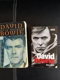 Two books for reading. Or re-reading. : r/DavidBowie