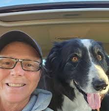 What are good bear viewing trips by air from Homer, Alaska?