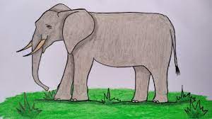 Tidak mewarnai dengan teknik silang(asal asalan) jika itu lukisan akan menjadi jlk dan tidak indah maaf jika salah. Menggambar Gajah Cara Menggambar Dan Mewarnai Binatang Yang Mudah Youtube