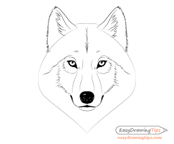 Maybe you would like to learn more about one of these? How To Draw A Wolf Face Head Step By Step Easydrawingtips
