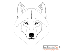 See more ideas about wolf, beautiful wolves, wolf spirit. How To Draw A Wolf Face Head Step By Step Easydrawingtips