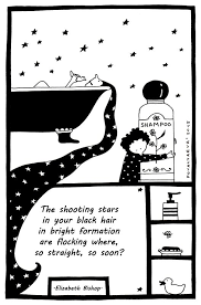 The Shampoo By Elizabeth Bishop Http Www Poemhunter Com Poem The Shampoo Elizabeth Bishop Graphic Illustration Black Hair