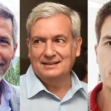 Un favorito, un macrista y un radical suelto, la interna de JxC en Santa  Rosa