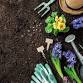 Linthicum Gardening Event and Plant Swap