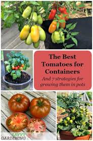 We did not find results for: The Best Tomatoes For Containers And Tips For Growing Big Yields