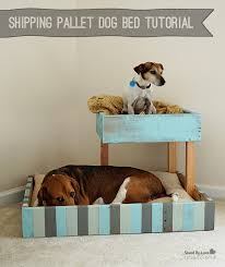 Check spelling or type a new query. Diy Shipping Pallet Dog Bed