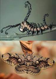 25 Fotos Que Demuestran Lo Mucho Que Puede Cambiar El Mundo Alrededor Bellos Insectos Fotos De Insectos Animales Insectos
