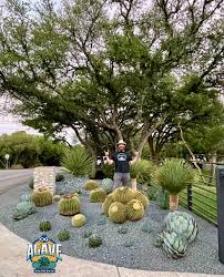 OG Agave's Plant Paradise...